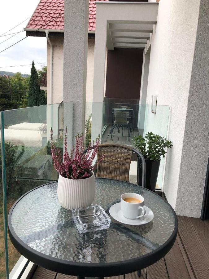 Luxury Apartments 88 スメデレヴォ エクステリア 写真